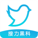 飞鸟下载器最新版