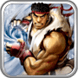 Day of Street Fighter(超级街头霸王)