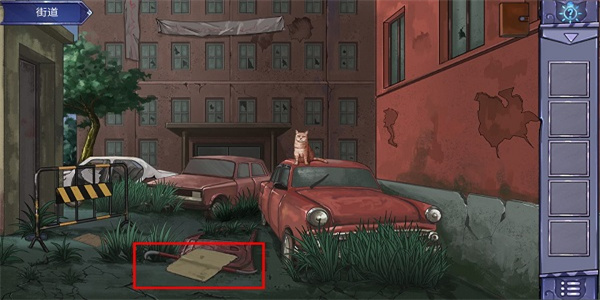 密室与猫