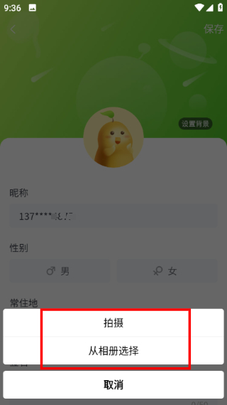 豆芽部落