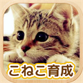 3D猫咪养成
