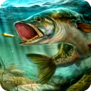 终极钓鱼手游(Fishing)