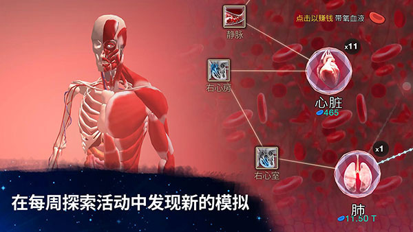 细胞