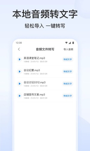录音文字转换专家